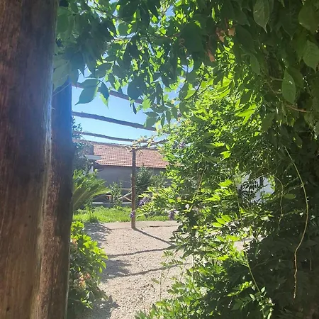 Silvana's House Agerola